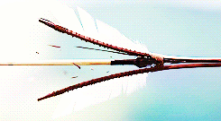 westtly-deactivated20140317:  Our fate lives within us.You only have to be brave