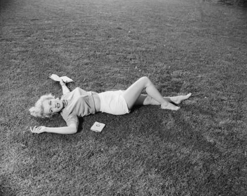 talesfromweirdland:Marilyn Monroe photographed by David Cicero in 1951.