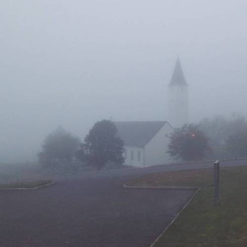 The fog was so thick last night, our hair got dewy as we sat outside, drinking fine beers and shiver