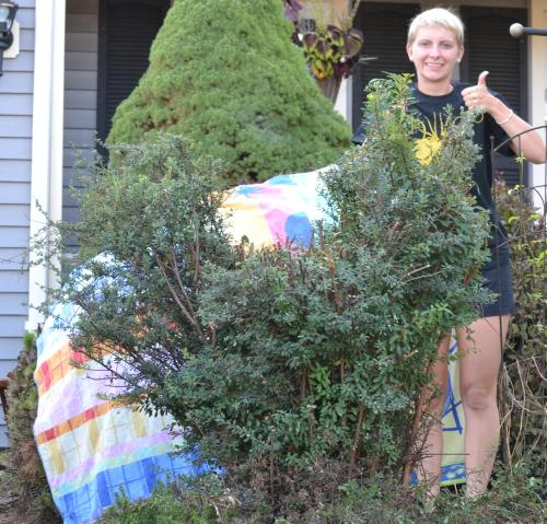 162 - IMAGE. This or any past year’s GISHWHES mascot recognizable in topiary. Completed by The Holme