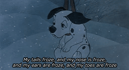 When you have to go to work, even though it\'s -16 degrees outside