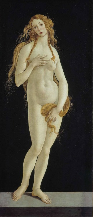 Sandro Botticelli (Florence, 1445-1510) The Birth of Venus, ca. 1485, detail. Galleria degli Uffizi, Florence.Venus, ca. 1490. Oil on canvas, 158 x 68.5 cm. Gemäldegalerie, Berlin