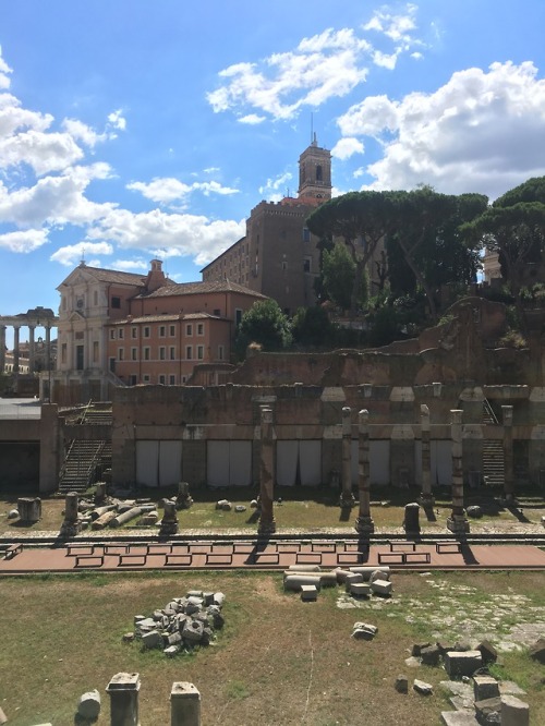 8 hours in Rome