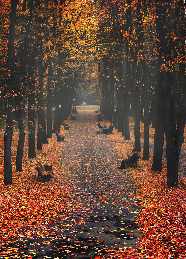 land-city:   Time to be a... by Siarhei Mikhaliuk | 500px Belarus      