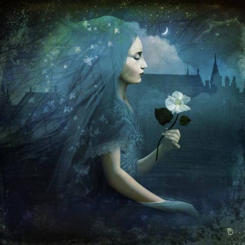 colin-vian:Christian Schloe.  