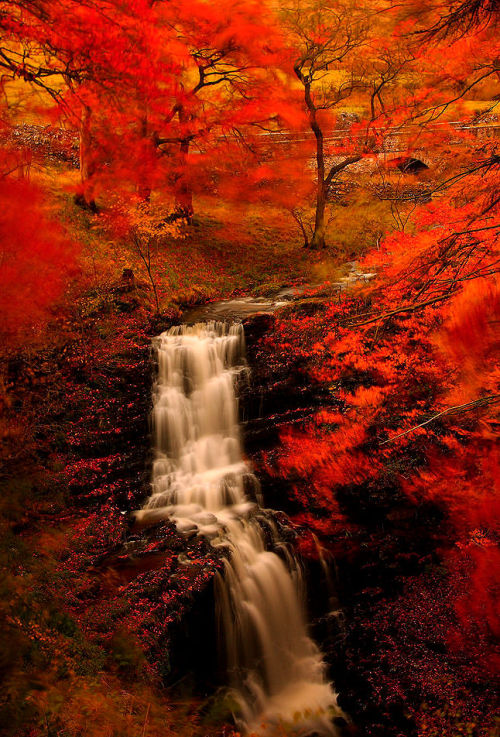 lori-rocks - Scaleber force, in autumn, Yorkshire dales.. by Steve...