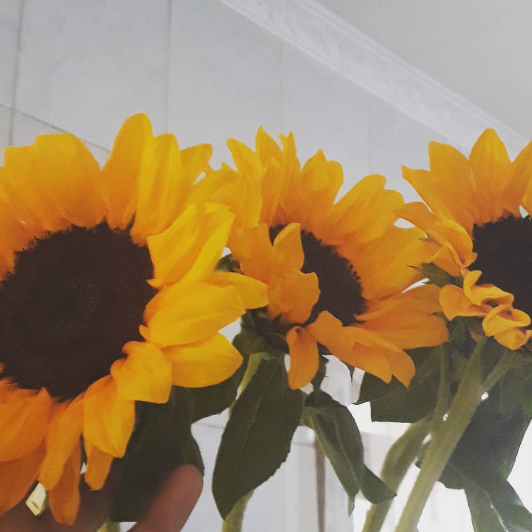 A arte é uma flor nascida no caminho da nossa vida, e que se desenvolve para suavizá-la.