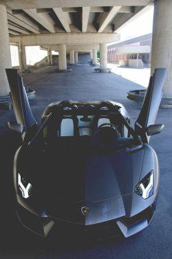 themanliness:  Two Faced Aventador | Instagram