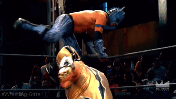 Wrestling Giffer