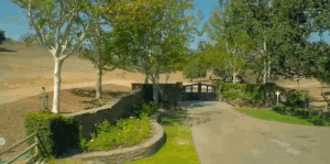 loveneverlandismydream:mjismydaddy:Neverland appeals to the child inside every man, woman and child.