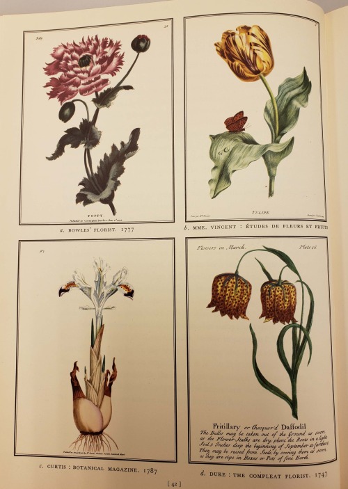 From: Dunthorne, Gordon. Flower and fruit prints of the 18th and early 19th centuries. Washington : 