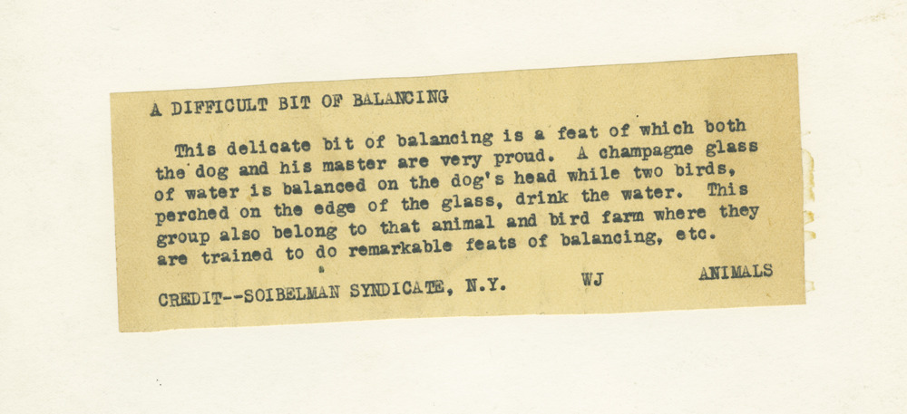 vsw-blog: A Difficult Bit of Balancing from the VSW Soibelman Syndicate News Agency