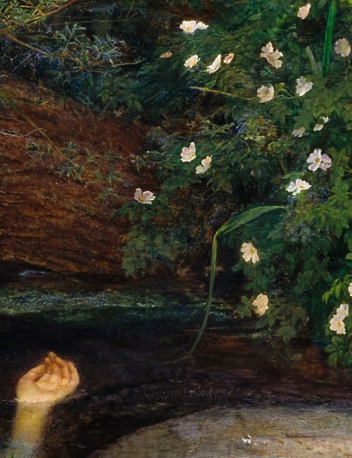 imagediver:Click on the image to see the detail in a zoomable context.Detail from Ophelia, John Ever