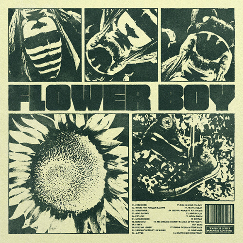 Flower Boy by Tyler The Creator / Alternative Cover Art