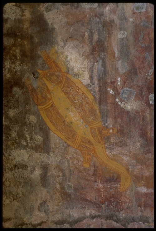 humanoidhistory:Aboriginal rock art at Kakadu National Park, Australia, 2002, photo by Gerald and Bu