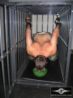 mrsleather:  Feeding time for the slave in