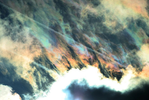 awkwardsituationist:  cloud iridescence — caused as light diffracts through tiny ice crystals or water droplets of uniform size, usually in lenticular clouds — photographed by rolf kohl. (more cloud pics) 