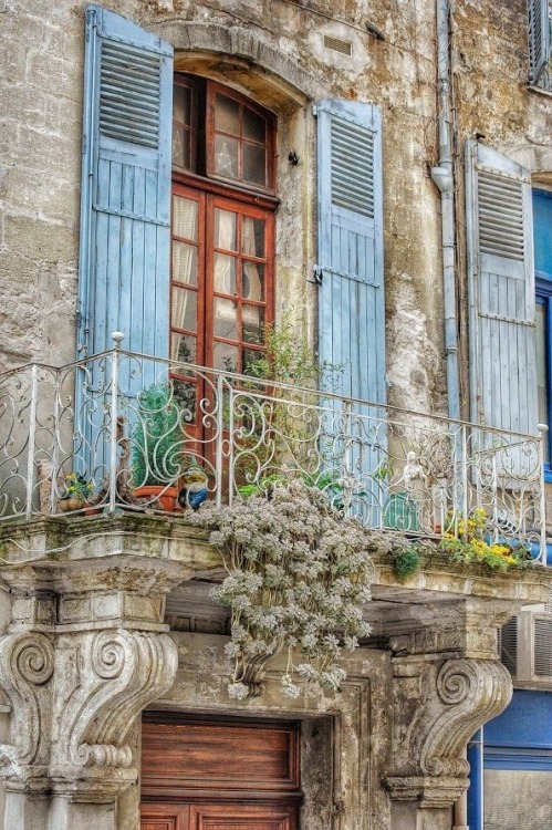 audreylovesparis:  Provence 