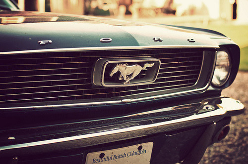 CarWhore