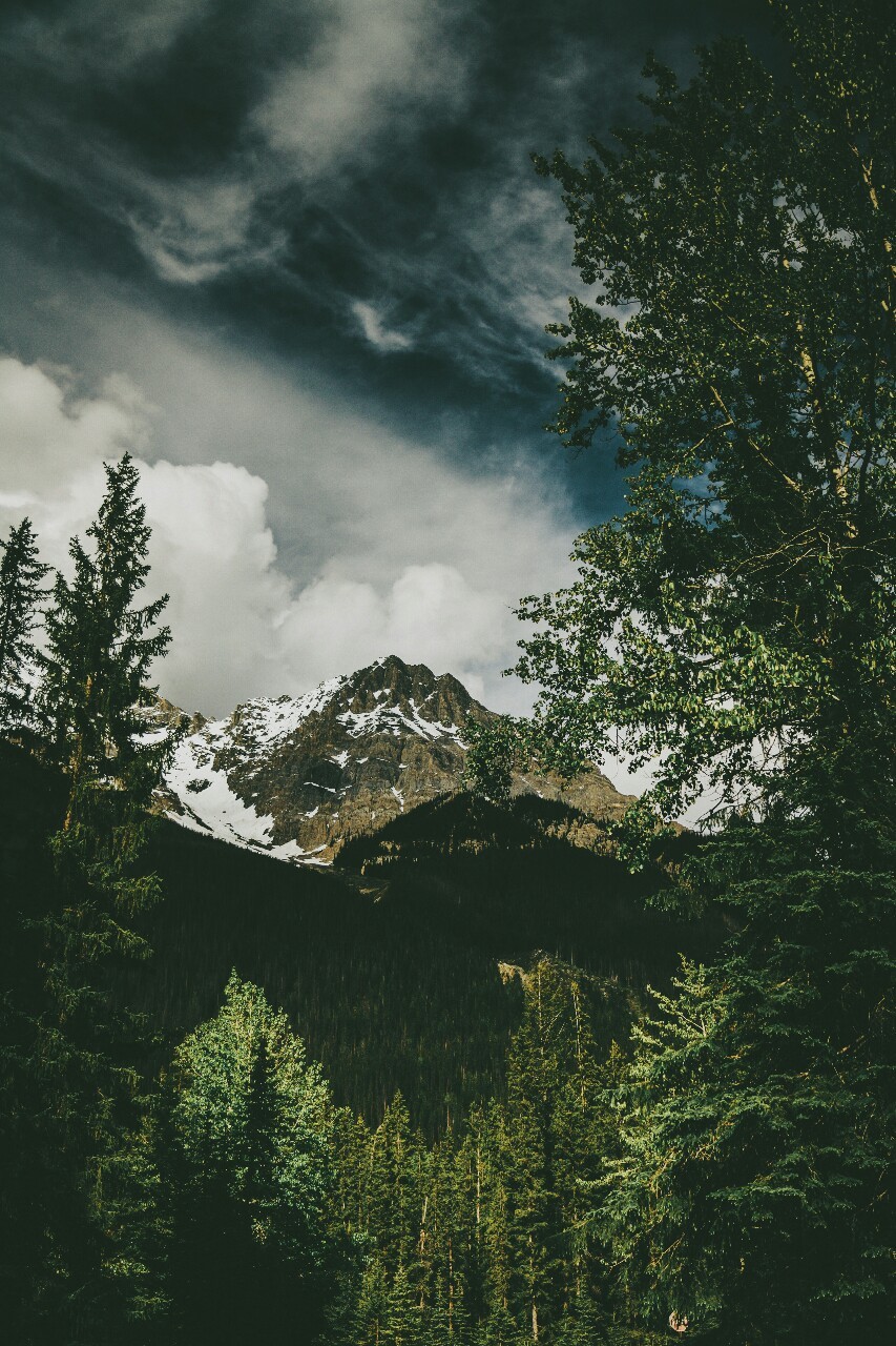 natureac:  Do you like tattoos? Check out this blog!