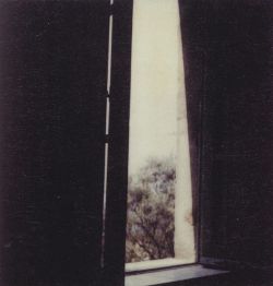 nobrashfestivity: Cy Twombly, Polaroid more