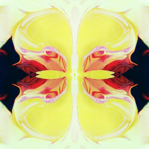 Blood Flowers (Or A Mysterious Object At Noon)
