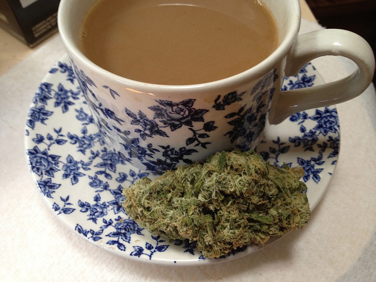 thatswhatmaryjanesaid:  wakey bakey 