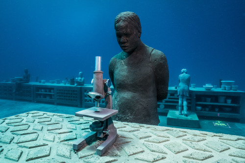 itscolossal: The Coral Greenhouse: Jason deCaires Taylor’s Latest Installation is an Underwate