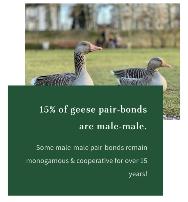 todaysbird:this is the future liberals want