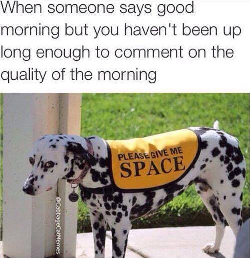 Introvert Problems