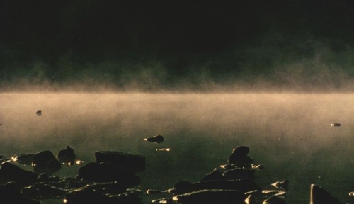 liinza:Distance, Hirokazu Koreeda, 2001 