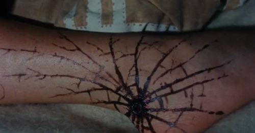 The Evil Dead (1981)