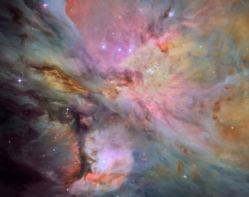 Porn Pics banshy:  Dust, Gas, and Stars in the Orion