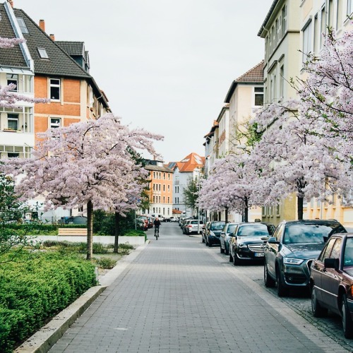 spring in braunschweig(niedersachsen, germany)instagram: morningtrainpoetry