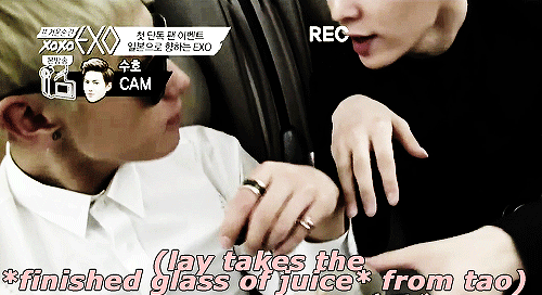 gayjikookadi:  tao drank all of lay’s juice so lay just asked for another one from the stewardess  