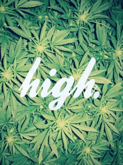 Lames catch feelings, We catch flights!
