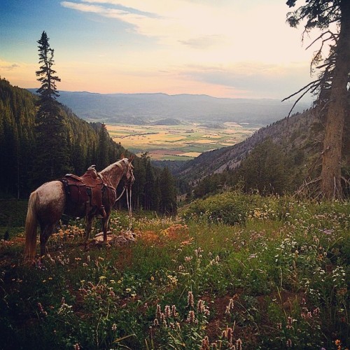 turnpiketroubadoll:  wyocowboy307:  Twenty years from now you will be more disappointed by the things you didn’t do than by the ones that you did do. Explore more.  Yes please!!!