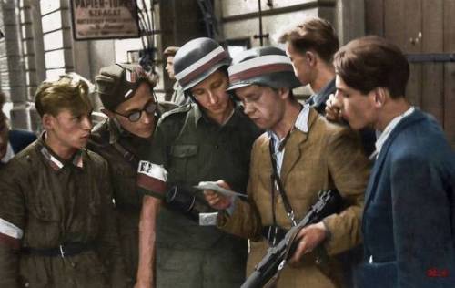 villanelleastonkova - Warsaw Uprising ’44 was a major World War...