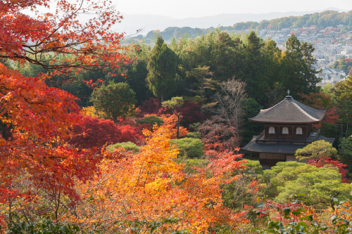 japan-overload: by  HanWen Chen