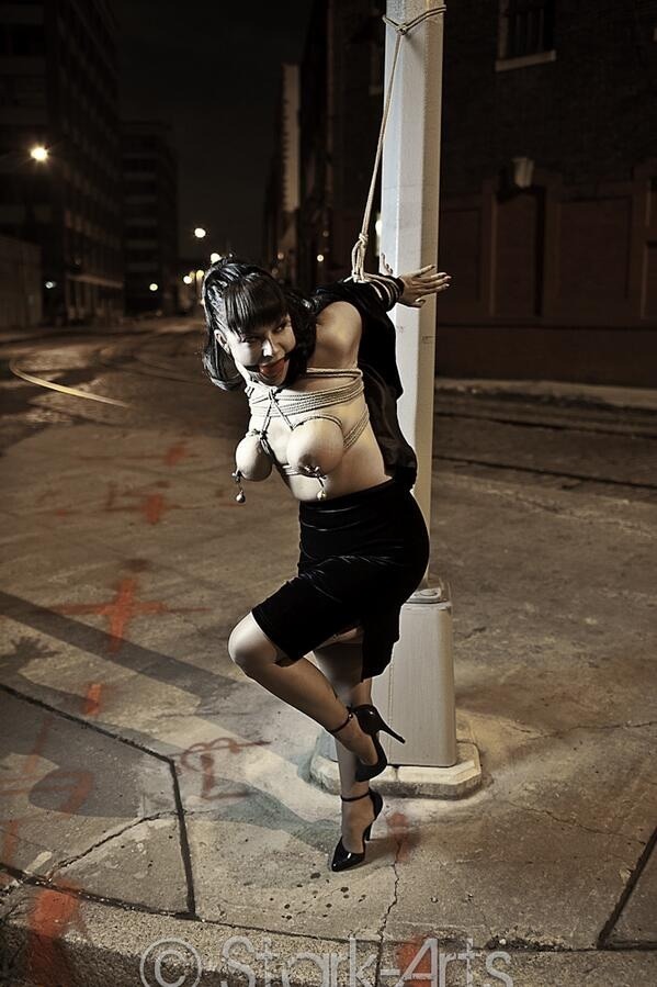 sensualhumiliation:  And the bitch finally, was tied up at the street just in front