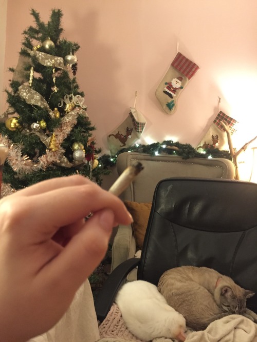 Happy Christmas Eve! 🎄🌟