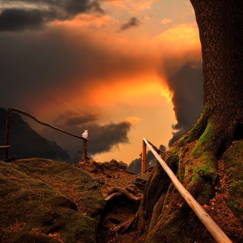 bidyke:  cherylisrad:  sosuperawesome:  Caras Ionut  Pretty sure I reblogged these before.. but they’re so amazing i have to do it again.  Romanticism much? 