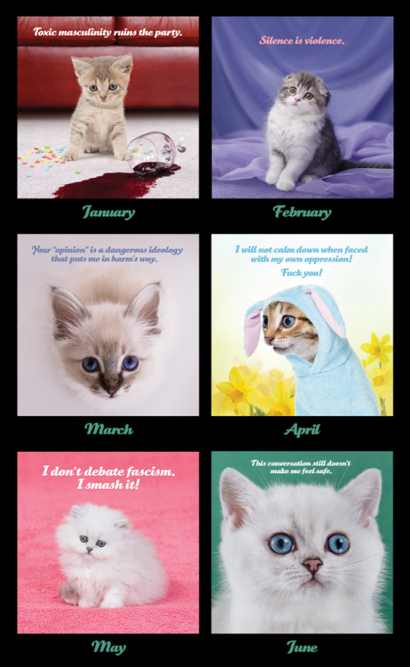 ANNOUNCING THE 2018 SOCIAL JUSTICE KITTENS CALENDARAre you absolutely DONE instructing people who sh