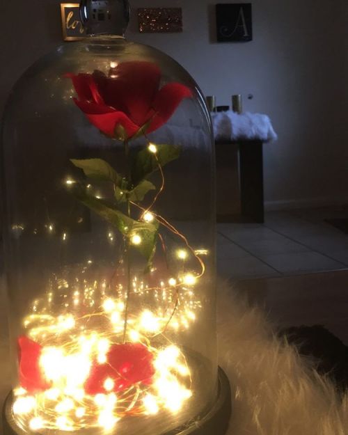 🌹❣️😍 like the one from Beauty and the Beast!