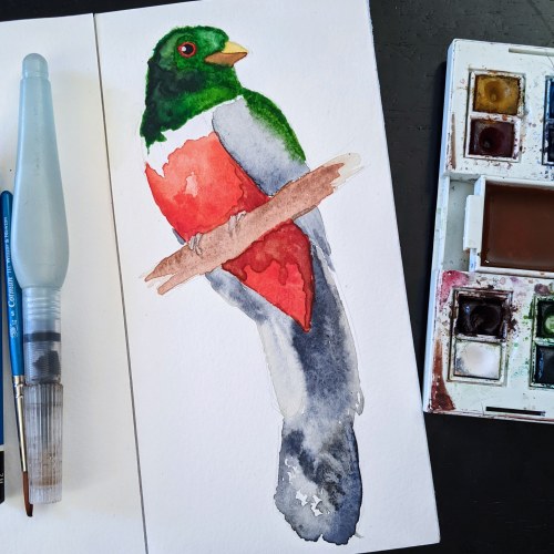 A few months ago @elleskinner wanted a subject to break in her new watercolors with, and I was (and 