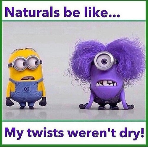 Hahaha#teamnatural can frotally relate! #fro #frobabes #despicableme #twists #naturals #curls #coils
