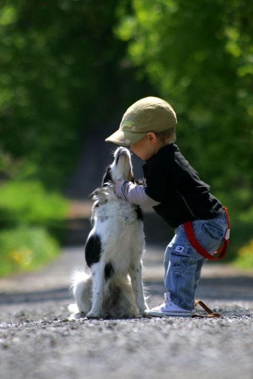 tumblr_nckzpjyC351qat5pio1_500.jpg
