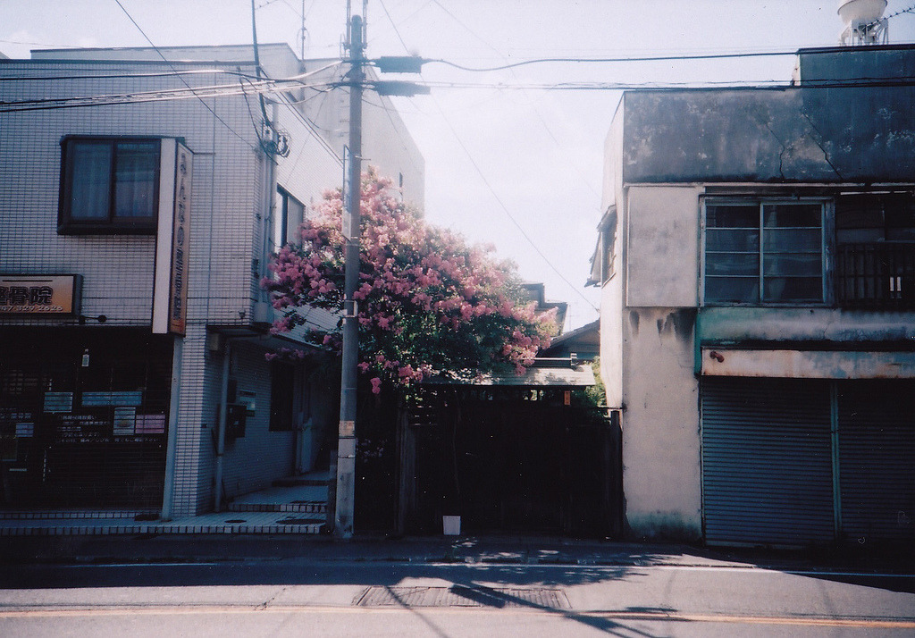 englishsnow:   risaikeda 