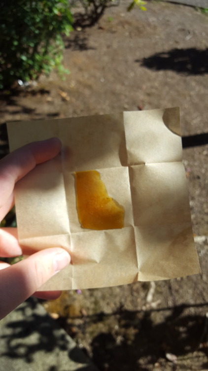 Porn stoned-adventurer:  Blue Dream // shatter photos