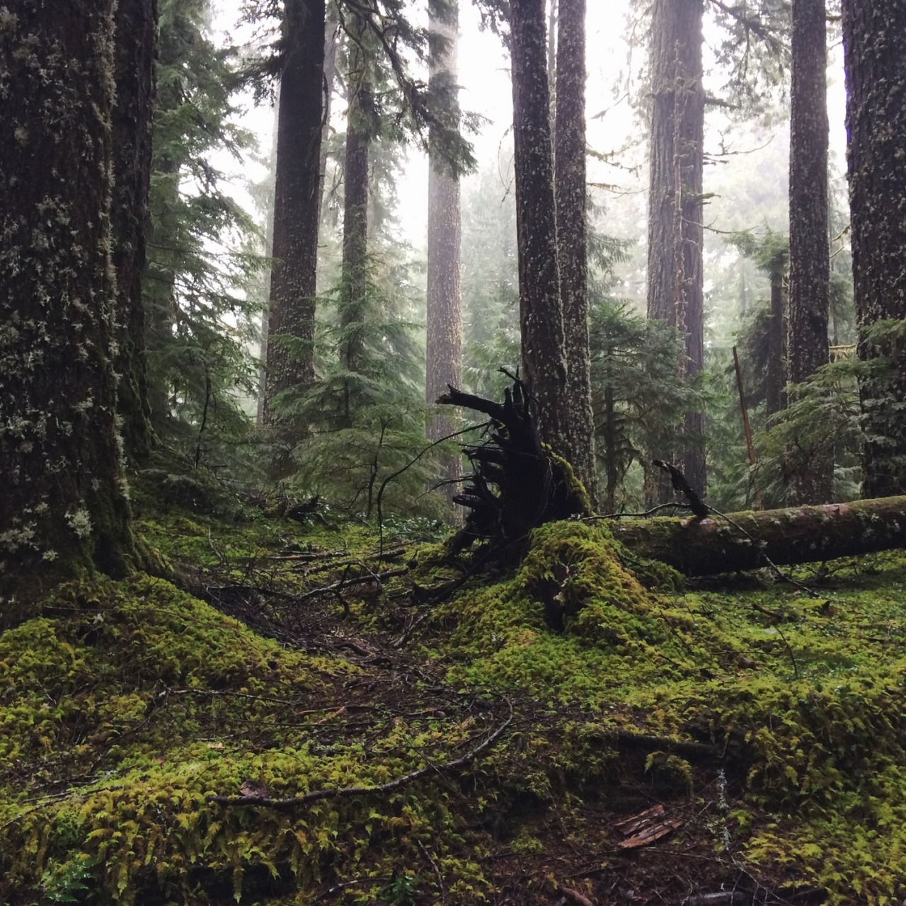 danielodowd:  http://sagemcelroy.vsco.co/